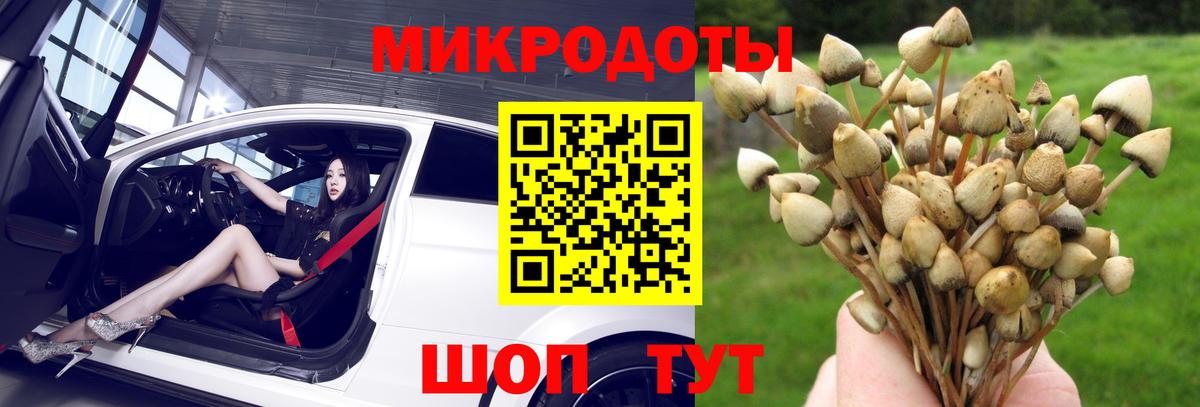 купить   Вход с VPN  Люберцы  Галлюциногенные грибы прущие грибы 